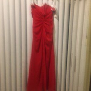 Special occasion/Prom dress